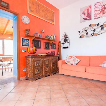 Il Pesce E Il Geco *