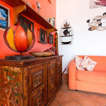 Il Pesce E Il Geco *