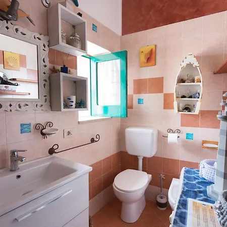 Il Pesce E Il Geco *