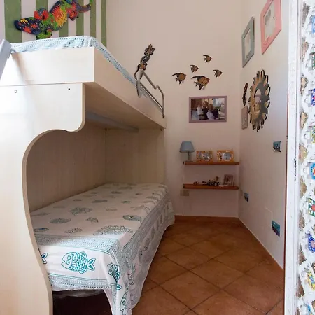 Il Pesce E Il Geco *