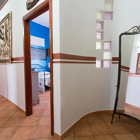 Il Pesce E Il Geco *