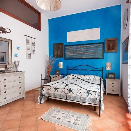 Il Pesce E Il Geco *