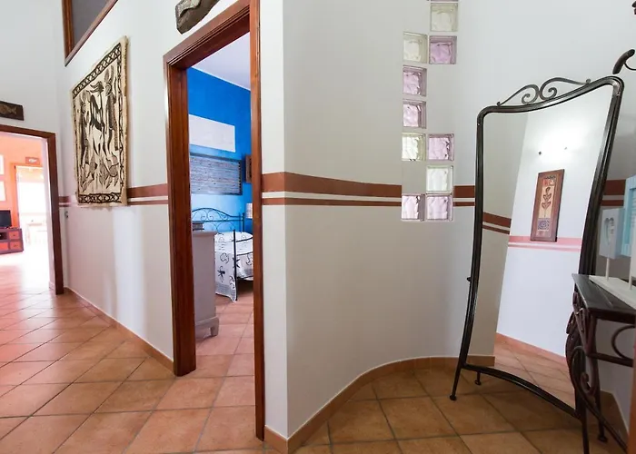 Il Pesce E Il Geco *